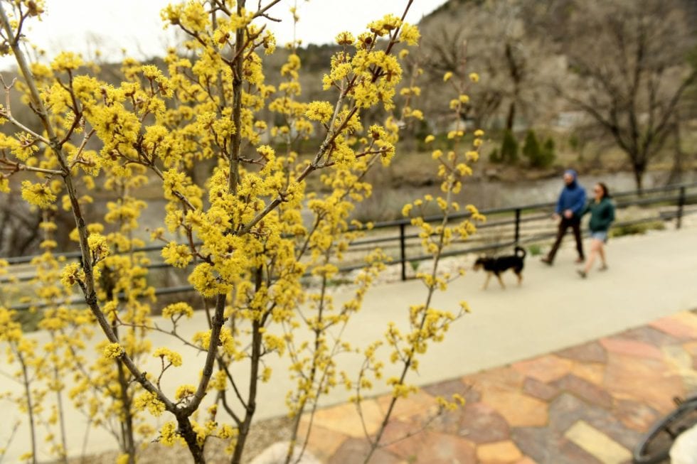 in-colorado-plant-trees-in-fall-for-a-bit-of-shade-next-summer