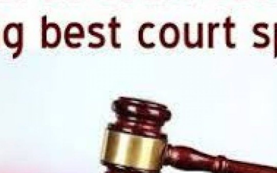 court-case-file-pdf